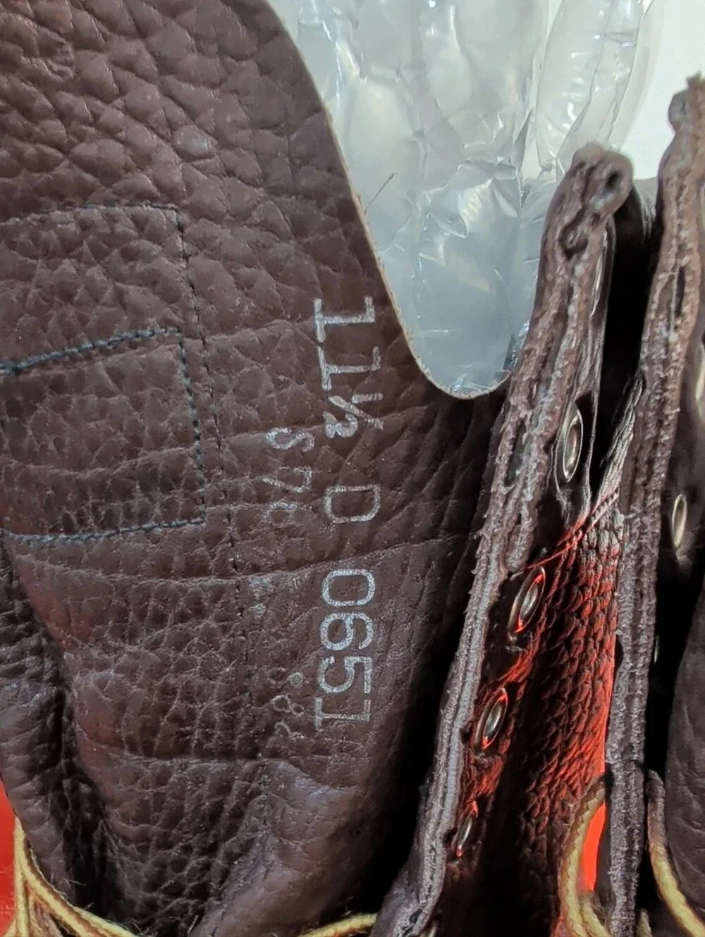 Irish Setter gently pre